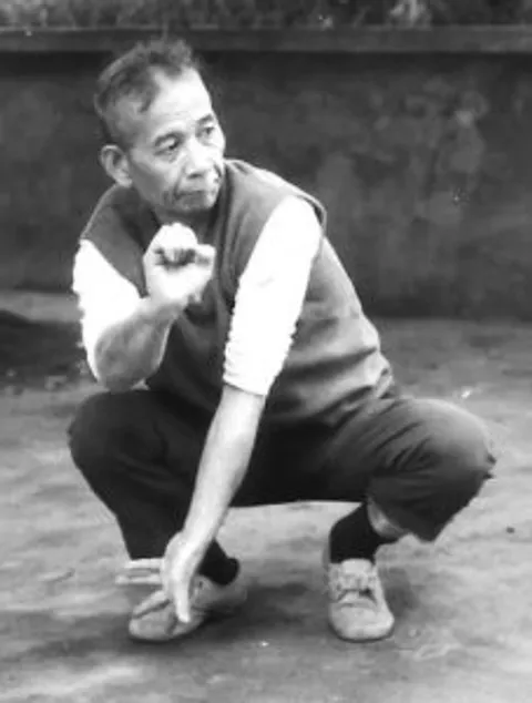 Hong Yimian training internal kung fu