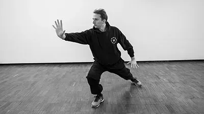 Ollie Smith practising Post-Heaven Bagua Line 1 — foundation palms