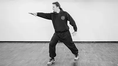 Ollie Smith practising Post-Heaven Bagua Line 2 — striking techniques