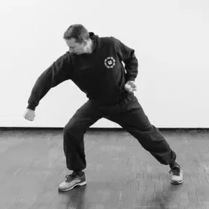 Eight Stance Fist