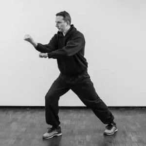 Entering and Retreating Linking Fist