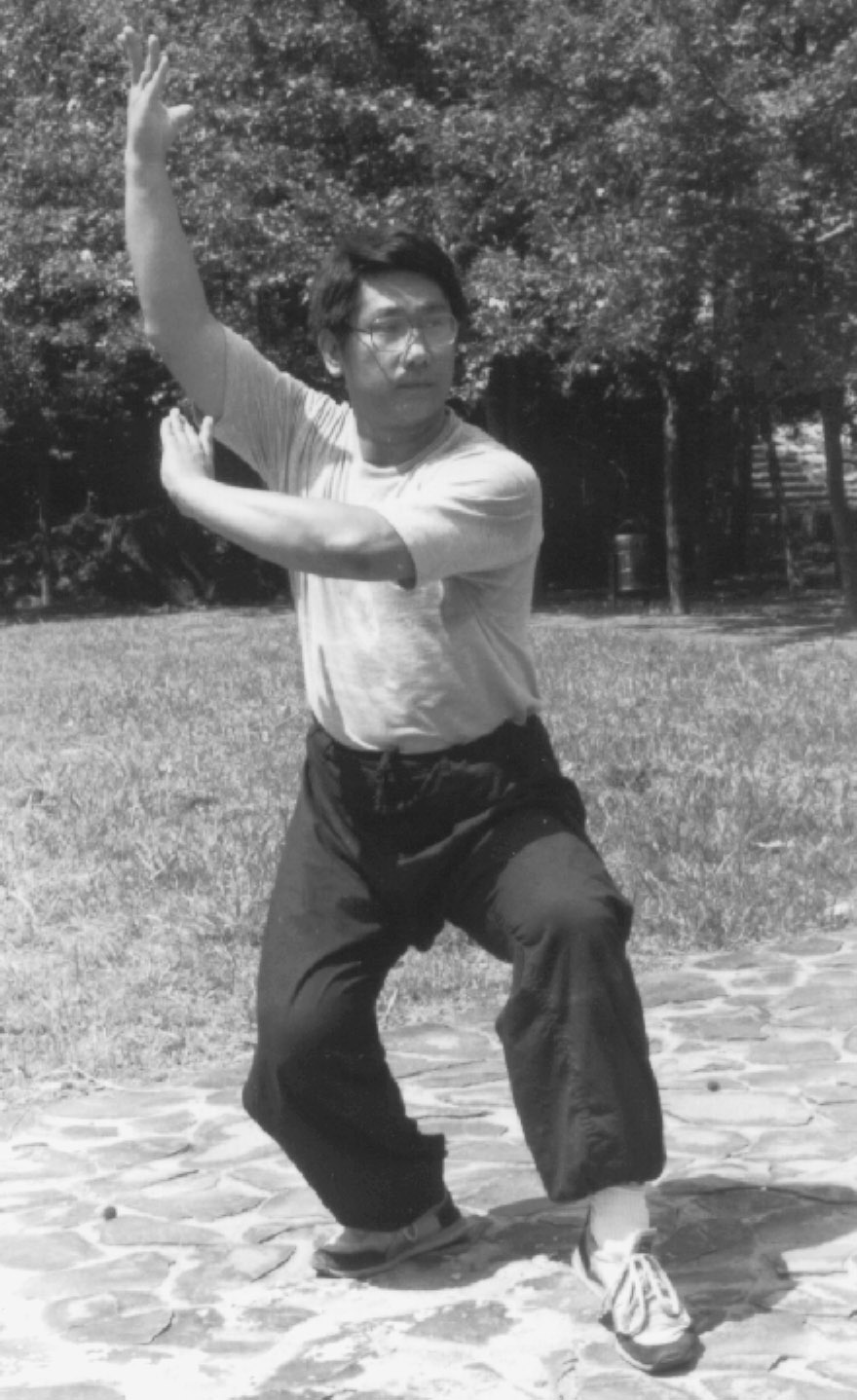 Luo Dexiu in a deep Baguazhang posture outdoors