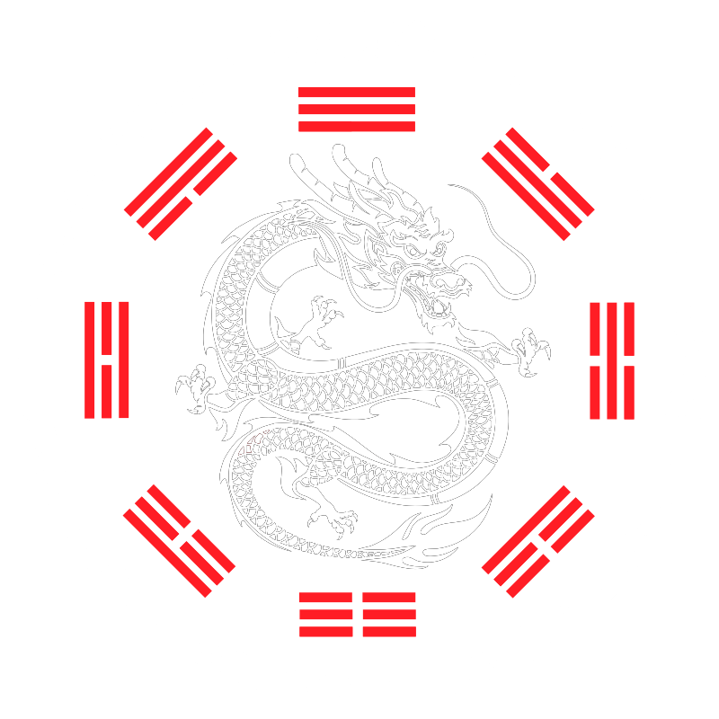 The Moral Dragon — Bagua, Xingyi, Taiji kung fu school