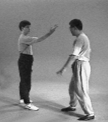 Luo Dexiu — entering hand technique